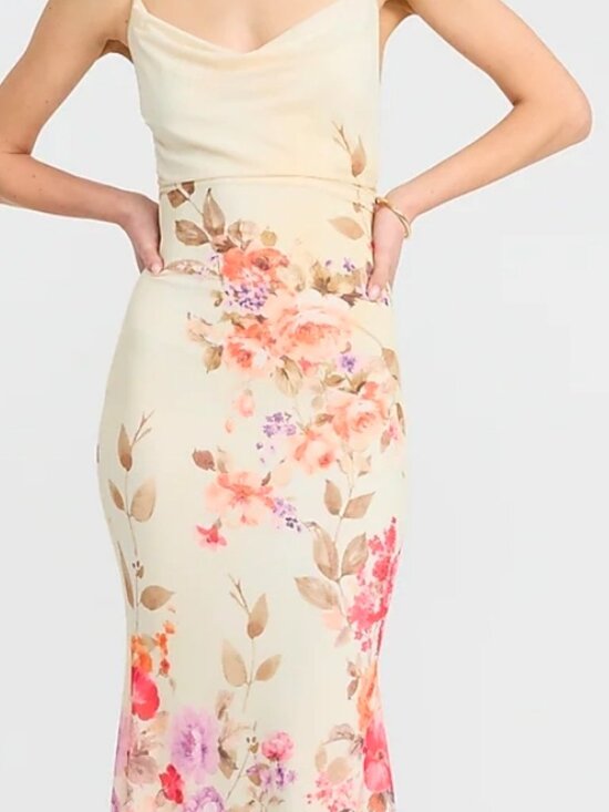 Express Dresses & Skirts - Express Floral Mesh Cowl Neck Strappy Low Back Maxi Dress